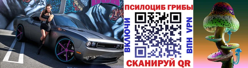 что такое наркотик  Певек  Галлюциногенные грибы Psilocybine cubensis 